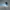 AIR JORDAN 1 RETRO HIGH OG GAME ROYAL SECOND 42  photo 1