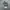 CONVERSE ALL STAR HIGH GREY WHITE SECOND 42  photo 6