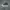 CONVERSE ALL STAR HIGH GREY WHITE SECOND 42  photo 2