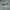 CONVERSE ALL STAR HIGH GREY WHITE SECOND 42  photo 1