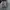 CONVERSE ALL STAR HIGH GREY WHITE SECOND 42  photo 5