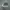 CONVERSE ALL STAR HIGH GREY WHITE SECOND 42  photo 3