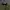 Bomber jakets military photo 6