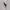 Polo Ralph Lauren Minimalist Casual Shirt Wanita white photo 4