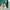 Earth Music and Ecology Cardigan Basic O-Neck Uniqlo GU ZARA photo 4