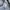 Kansai Yamamoto Avant Garde Futurist T-shirt Pria gray photo 6