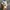 Authentic official boneka karakter pokemon  photo 4