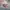 Authentic official boneka karakter pokemon  photo 5