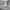 Authentic official boneka karakter pokemon  photo 1