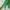Earth Music & Ecology Cardigan Basic O-Neck Green UNIQLO GU  photo 3