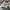 DIOR OBLIQUE B23 LOW TOP SNEAKERS photo 7
