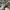 DIOR OBLIQUE B23 LOW TOP SNEAKERS photo 6