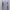 Giordano Casual Formal Shirt Pria Gray