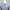Giordano Casual Formal shirt Pria gray photo 5