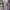 Giordano Casual Formal shirt Pria gray photo 1