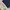 Global Work Streetwear Avant Garde T-shirt Pria navy photo 3