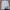 LACOSTE x NETFLIX POLOSHIRT AUTHENTIC SIZE XL photo 4