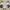 Rodeo Crowns Streetwear Avant Garde T-shirt Pria white photo 3