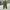 Fatigue Pants Coen Army photo 2