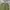 Fatigue Pants Coen Army photo 6
