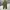 Fatigue Pants Coen Army photo 1