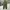 Fatigue Pants Coen Army