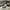 ADIDAS CAMPUS ALUMINIUM BLACK photo 1
