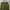 Fatigue Pants sensionico pants army photo 4