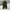Fatigue Pants Sensionico Pants Army