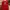 Lee Cooper Vintage Casual T-shirt Pria red photo 1