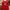Lee Cooper Vintage Casual T-shirt Pria Red