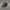 F1 Mercedes Benz Lewis Hamilton Official Cap - Topi Merci photo 3