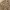 Luxury Casual Gilet Wanita multicolor tan photo 5