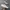 Nike Ebernon Low White photo 1