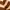 Colorbox Casual Crop top Wanita multicolor brown photo 4