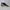 Converse Star Player Pro x Pleasures photo 1