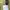 McGregor Vintage Casual Sweatshirt Wanita green photo 6
