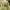 McGregor Vintage Casual Sweatshirt Wanita green photo 1