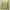 McGregor Vintage Casual Sweatshirt Wanita green photo 2