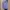 Lemorse long shirt photo 1