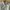Tommy Hilfiger White Women's Fitted Shirts photo 2