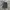 LEE RIDERS VINTAGE STRAIGHT FIT BLUE JEANS photo 1