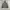 Anoutfit hooded nylon jacket photo 3