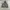 Anoutfit hooded nylon jacket photo 2