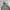 Anoutfit hooded nylon jacket photo 4