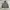 Anoutfit Hooded Nylon Jacket