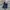 LEVI'S LOT. 501 VINTAGE REGULAR STRAIGHT FIT BLUE JEANS photo 1