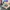 Adidas Malmo 2019 photo 1