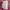 Diesel Vintage Y2K T-shirt Wanita pink photo 5