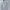 Carhatt spellout k288 HGY photo 1
